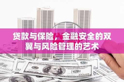 西平贷款与保险，金融安全的双翼与风险管理的艺术