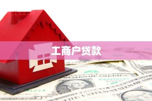 新河工商户贷款