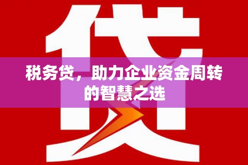 泗阳税务贷，助力企业资金周转的智慧之选