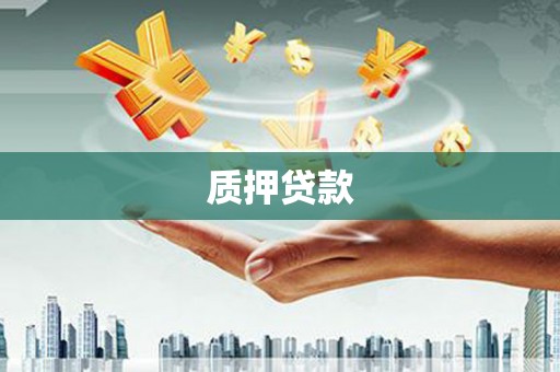 红星质押贷款