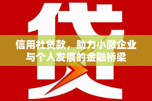 鄯善信用社贷款，助力小微企业与个人发展的金融桥梁