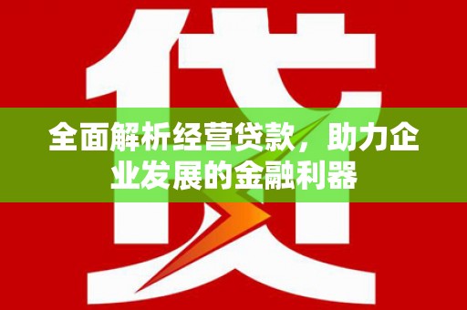 沾益全面解析经营贷款，助力企业发展的金融利器