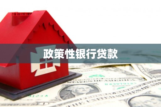 六甲政策性银行贷款