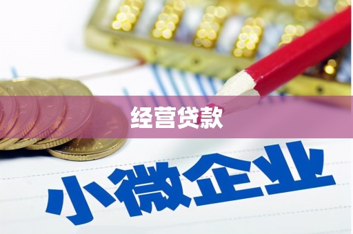 赫山经营贷款