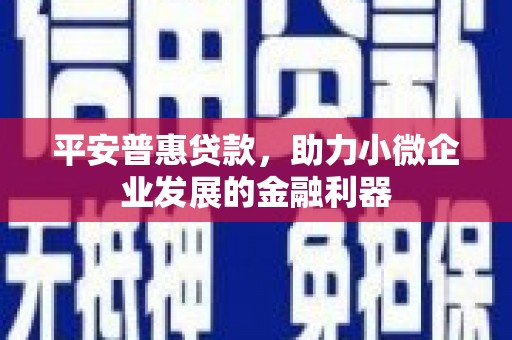 天元平安普惠贷款，助力小微企业发展的金融利器