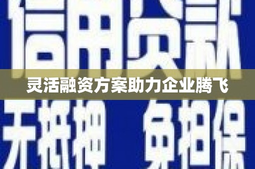 屏边灵活融资方案助力企业腾飞