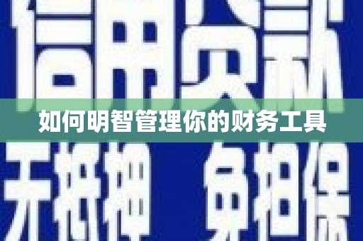 内蒙古如何明智管理你的财务工具