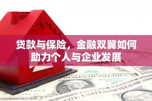沙湾贷款与保险，金融双翼如何助力个人与企业发展