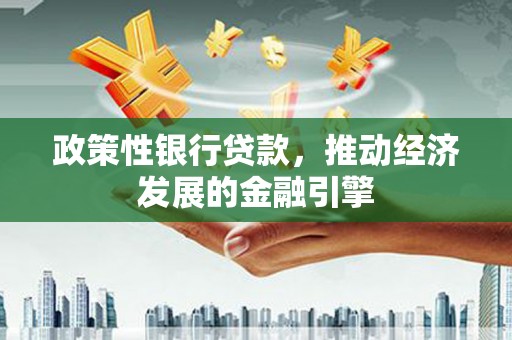 泸西政策性银行贷款，推动经济发展的金融引擎