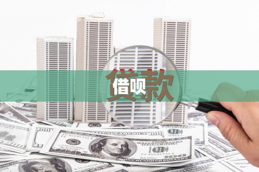 徐水借呗
