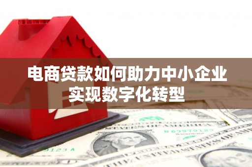 盐津电商贷款如何助力中小企业实现数字化转型