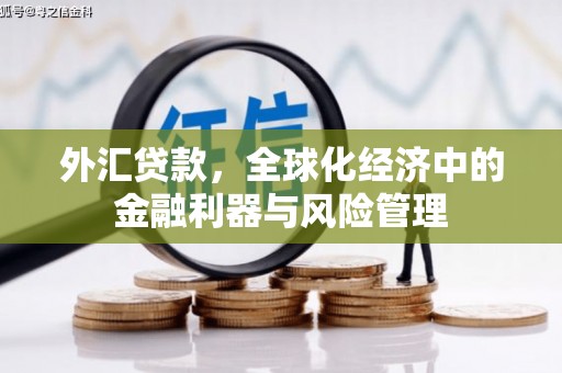 泗阳外汇贷款，全球化经济中的金融利器与风险管理