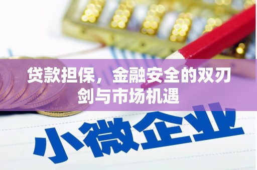田林贷款担保，金融安全的双刃剑与市场机遇