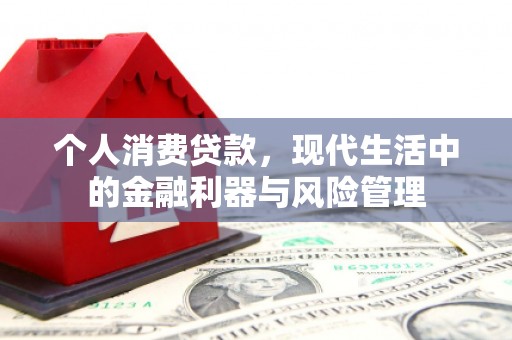 禅城个人消费贷款，现代生活中的金融利器与风险管理