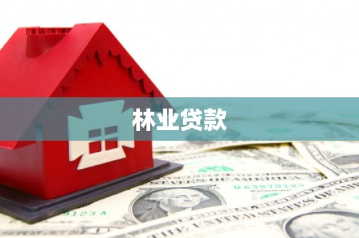 盐湖林业贷款