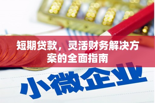 扶绥短期贷款，灵活财务解决方案的全面指南