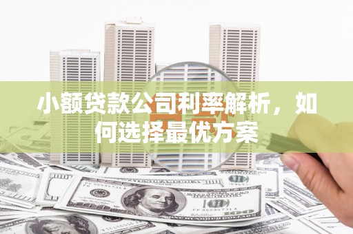 福海小额贷款公司利率解析，如何选择最优方案