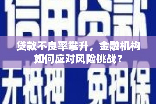 蒲江贷款不良率攀升，金融机构如何应对风险挑战？