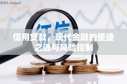 桐乡信用贷款，现代金融的便捷之选与风险控制