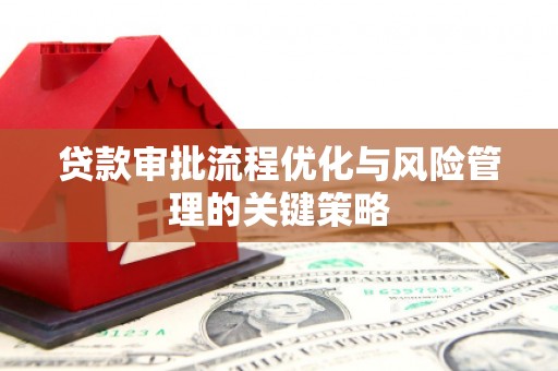 犍为贷款审批流程优化与风险管理的关键策略