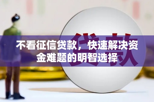 从化不看征信贷款，快速解决资金难题的明智选择