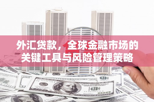 德钦外汇贷款，全球金融市场的关键工具与风险管理策略