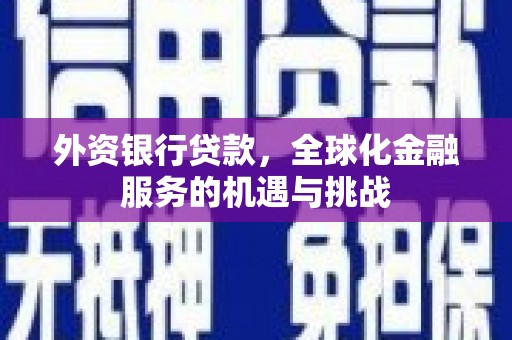 东明外资银行贷款，全球化金融服务的机遇与挑战