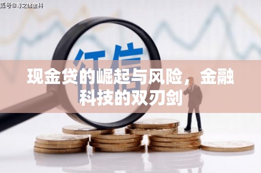 美姑现金贷的崛起与风险，金融科技的双刃剑