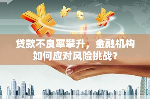 剑阁贷款不良率攀升，金融机构如何应对风险挑战？