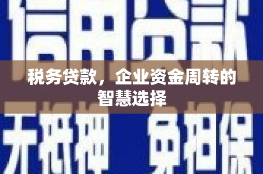 小金税务贷款，企业资金周转的智慧选择