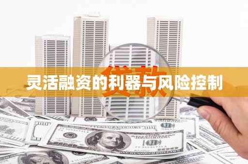 双牌灵活融资的利器与风险控制