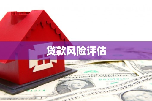 丰宁贷款风险评估