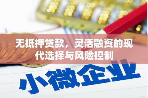 灌阳无抵押贷款，灵活融资的现代选择与风险控制