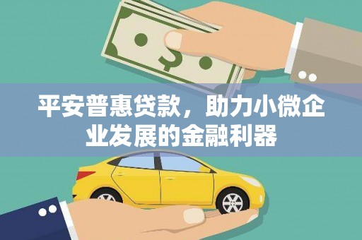 林芝平安普惠贷款，助力小微企业发展的金融利器