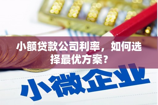 二连浩特小额贷款公司利率，如何选择最优方案？