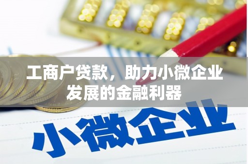 哈尔滨工商户贷款，助力小微企业发展的金融利器