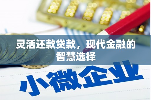 芙蓉灵活还款贷款，现代金融的智慧选择