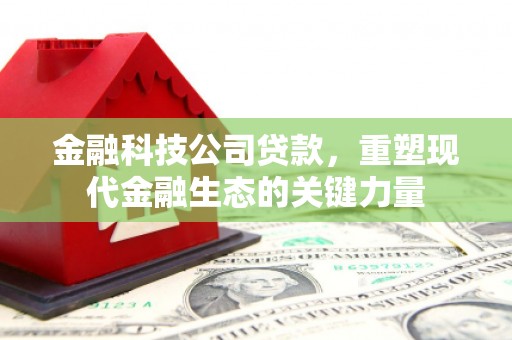 龙湾金融科技公司贷款，重塑现代金融生态的关键力量
