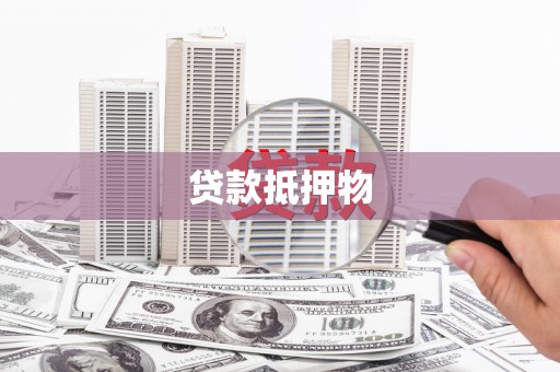 康县贷款抵押物