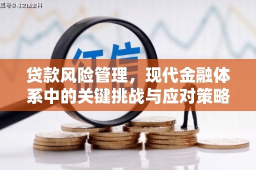 钟祥贷款风险管理，现代金融体系中的关键挑战与应对策略