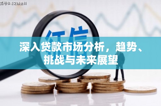 罗定深入贷款市场分析，趋势、挑战与未来展望