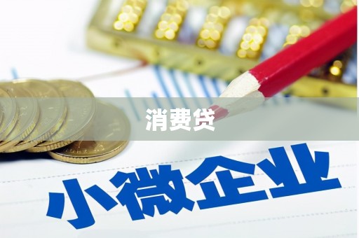 大内消费贷