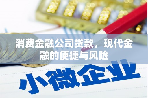 浔阳消费金融公司贷款，现代金融的便捷与风险