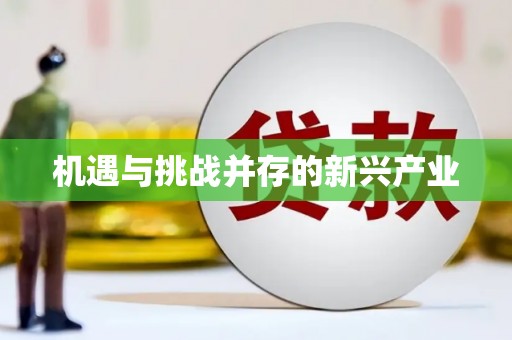 颍上机遇与挑战并存的新兴产业