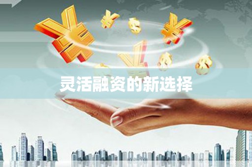 郸城灵活融资的新选择