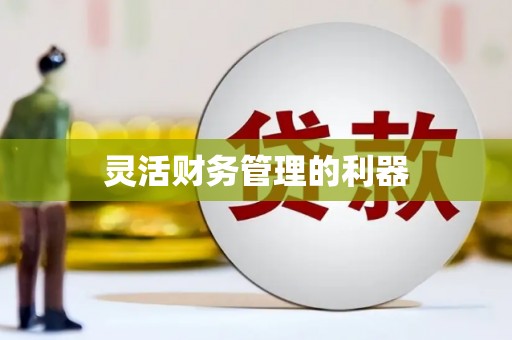 莲都灵活财务管理的利器