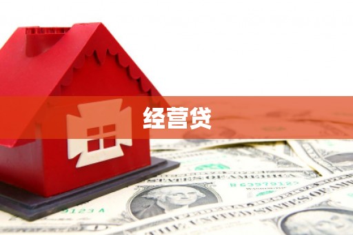 囊谦经营贷