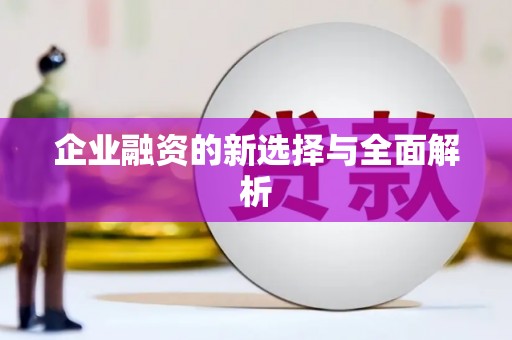碌曲企业融资的新选择与全面解析
