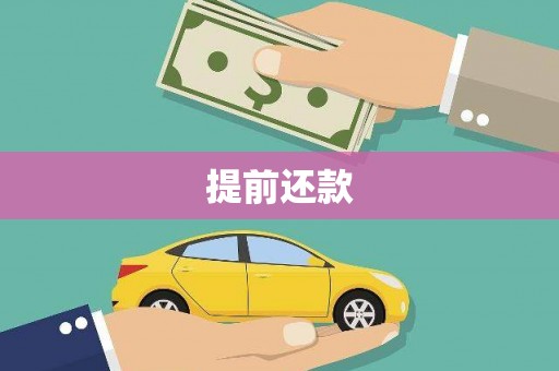 林园提前还款