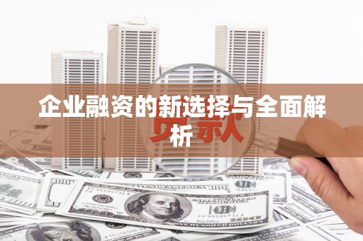 安乡企业融资的新选择与全面解析